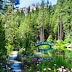 Big Springs Gardens,Sierra Nevada.