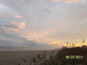 NORTH MYRTLE BEACH SEA TURTLE PATROL: .