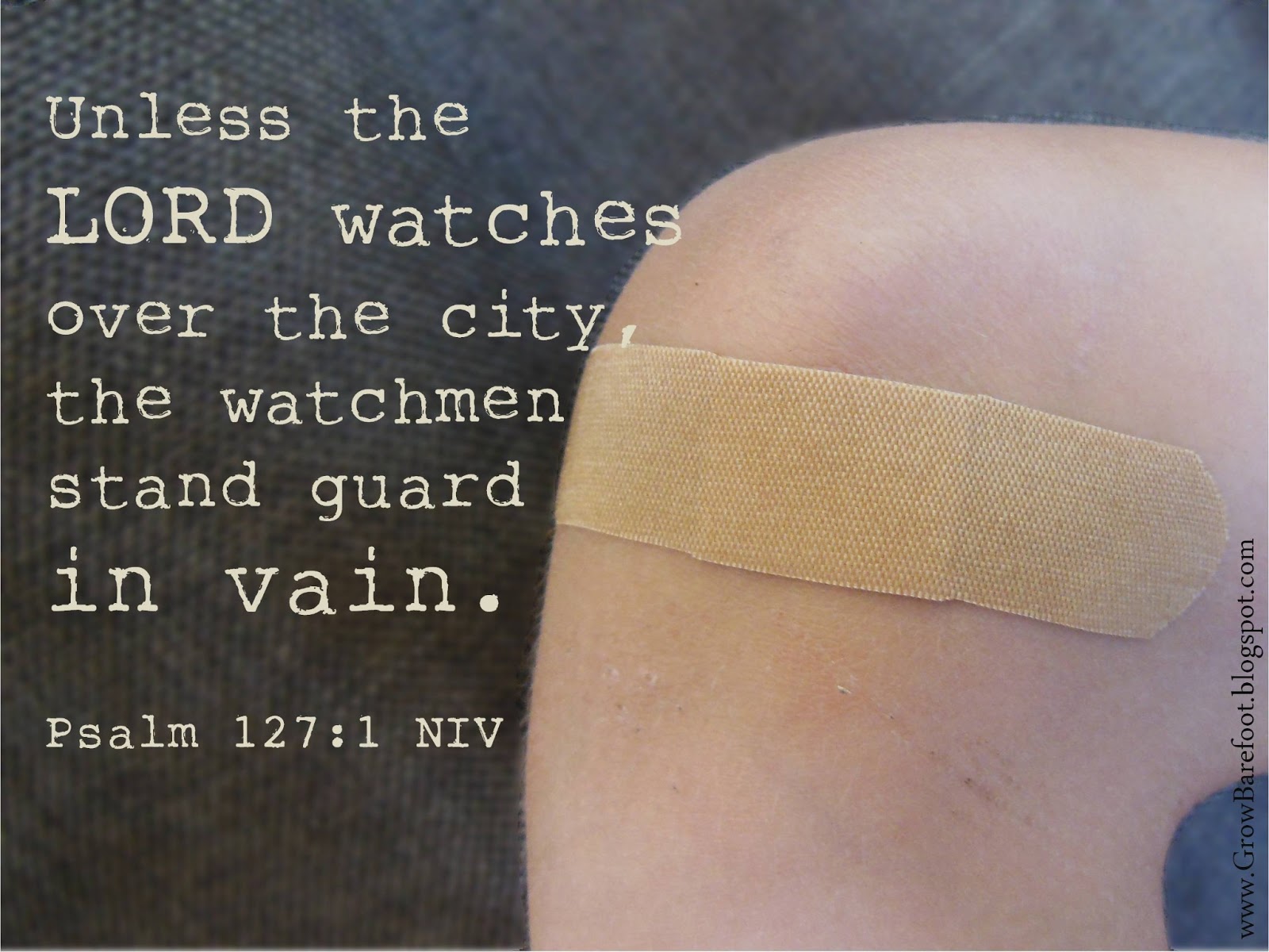 Grow Barefoot Bible Bandaids