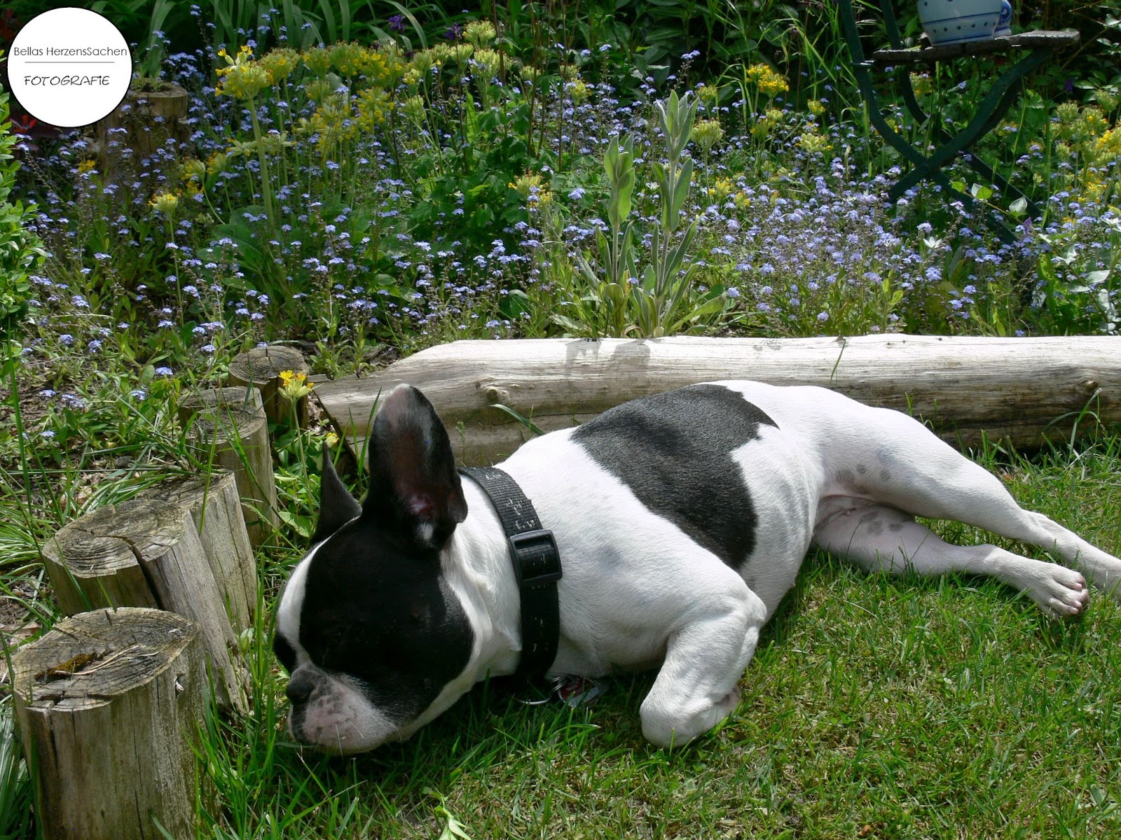 Hotel Movenpick Berlin Fashion Whisper Der