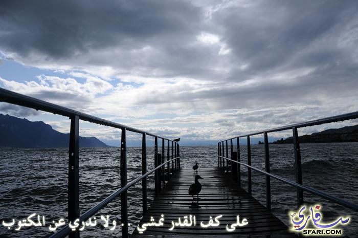 Just Dreams Zuhair Abdelfattah