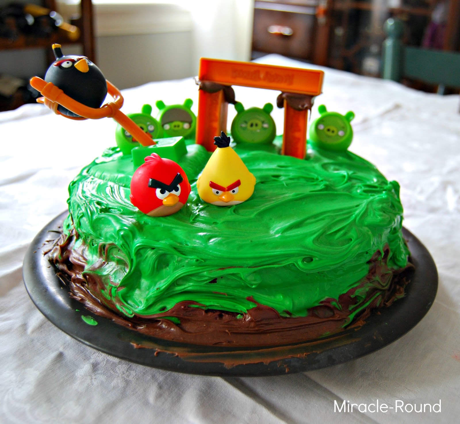Life on the MiracleRound Birthday Party Angry Birds Style