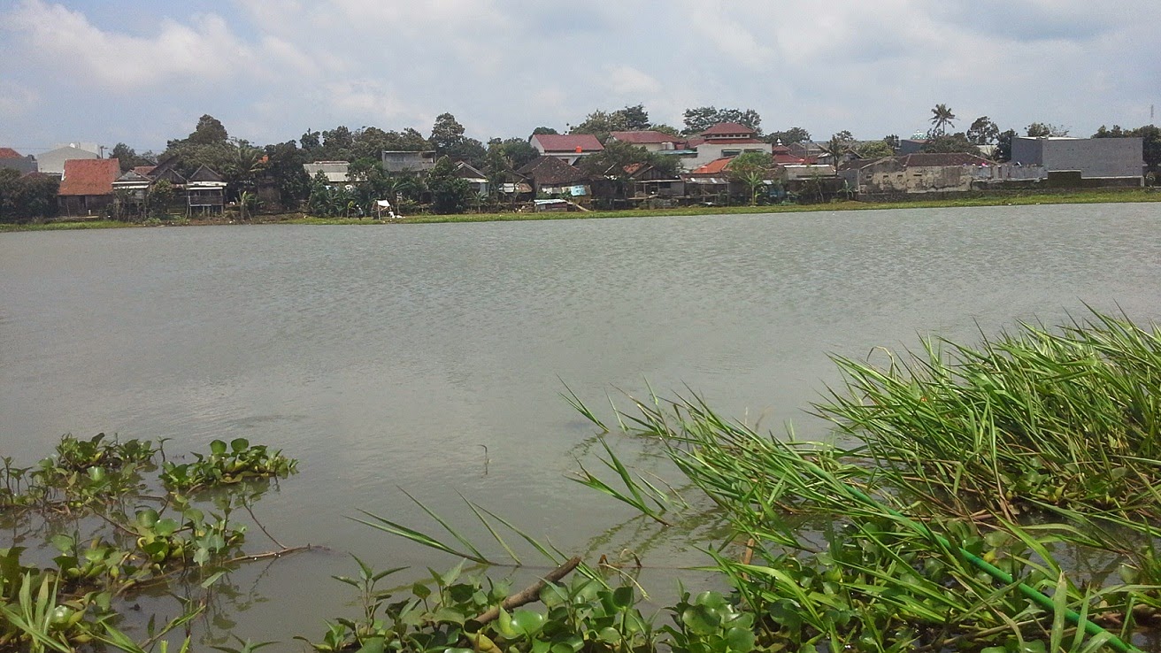 spot mancing nila di tembalang kota semarang mancing mania spot mancing nila di tembalang kota semarang mancing mania