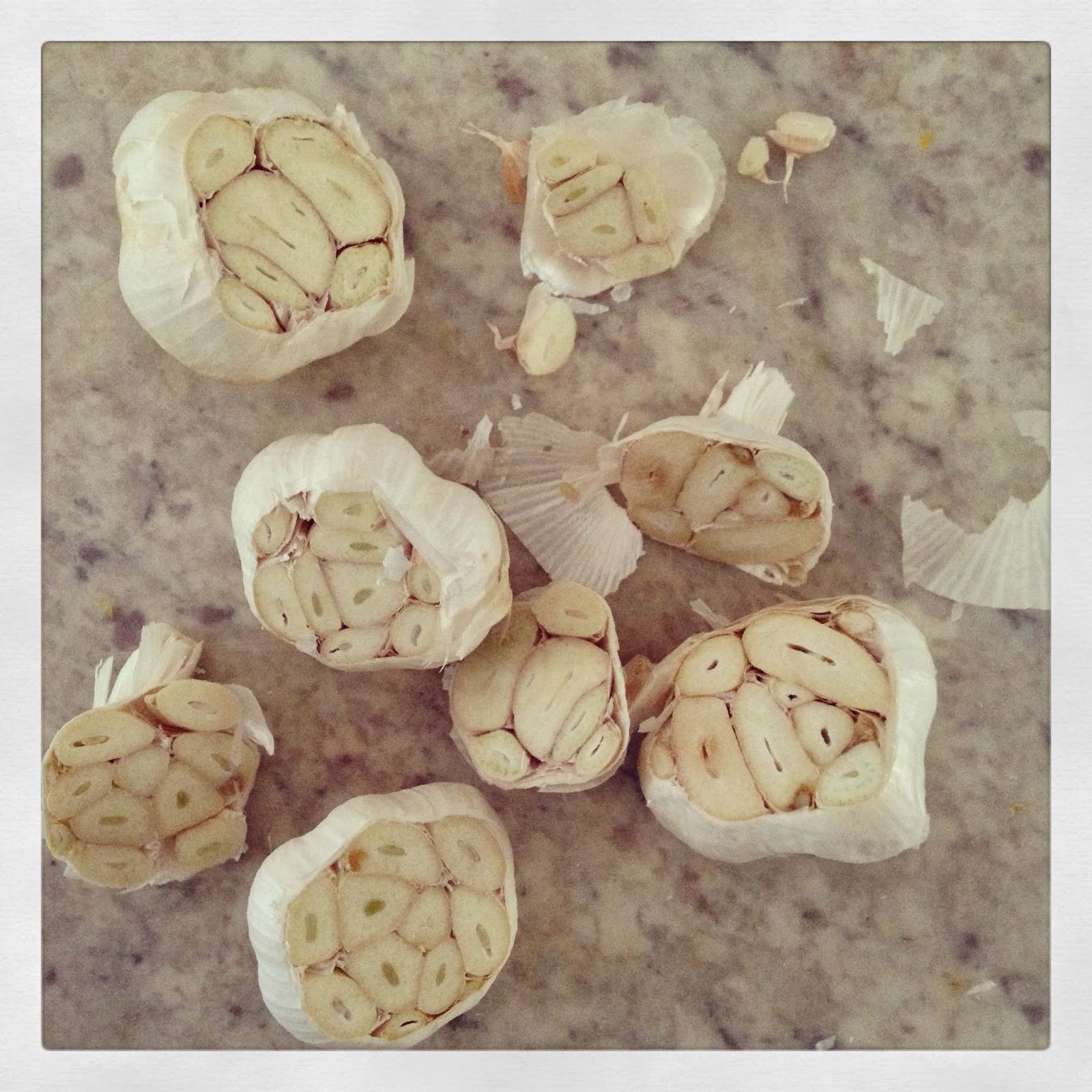 Vanilla Garlic Plans This Winter Roasted Garlic