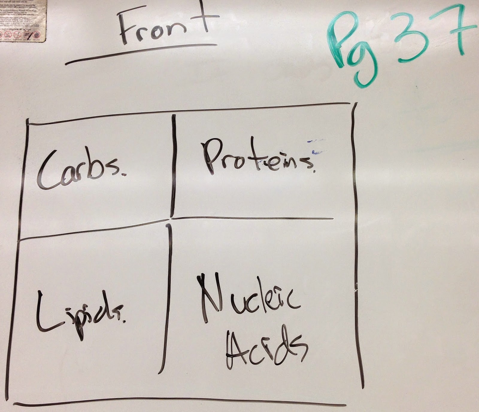 Honors Biology Macromolecule Foldable p. 37