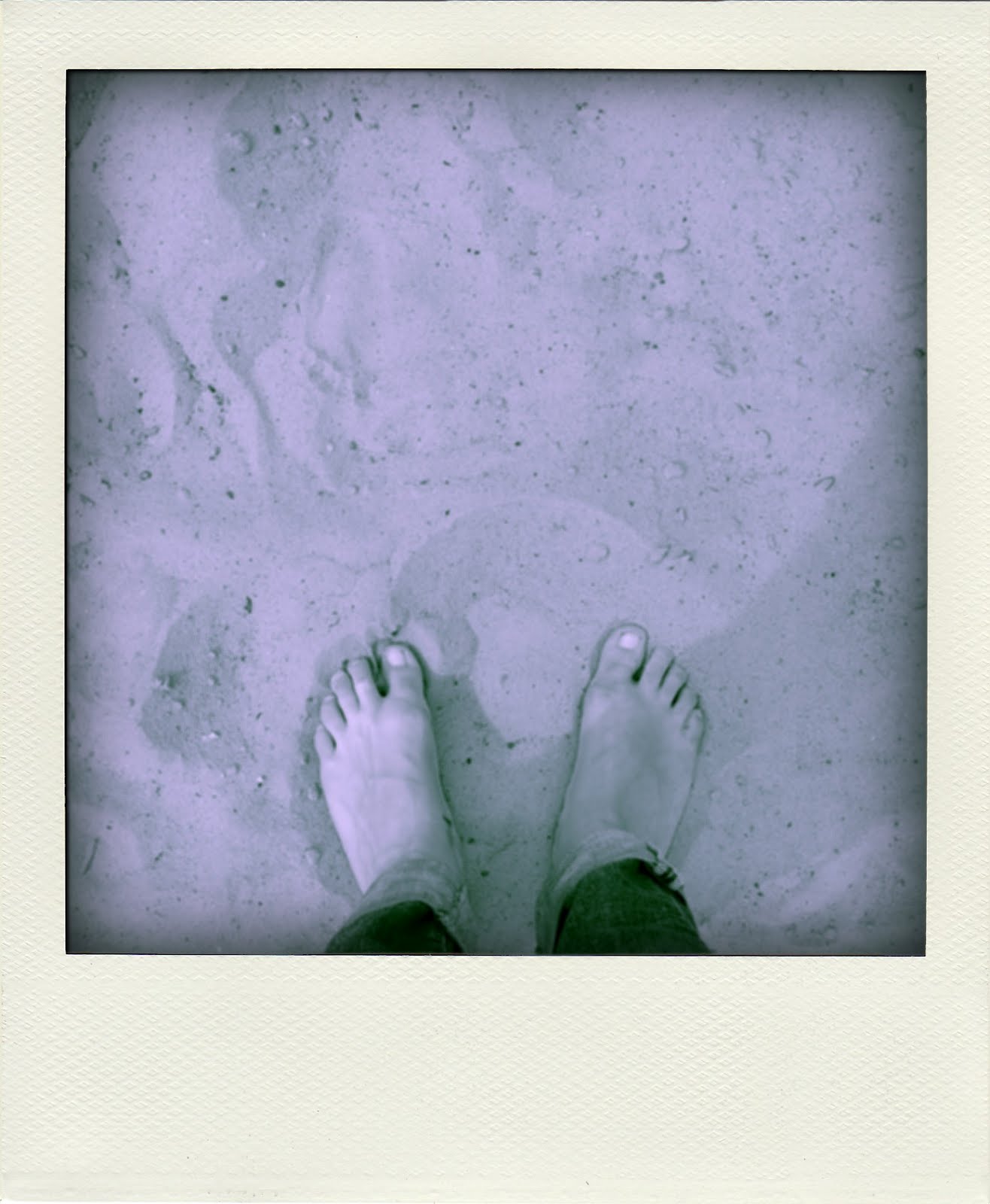 Lauter Leise April 2017