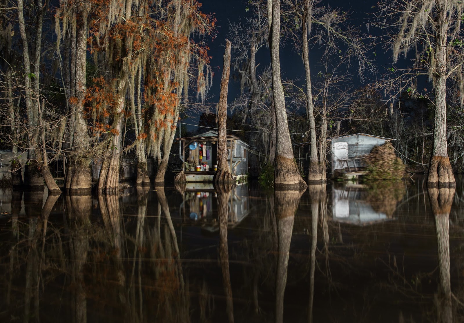 Bayous and Swamps of Louisiana January 2016