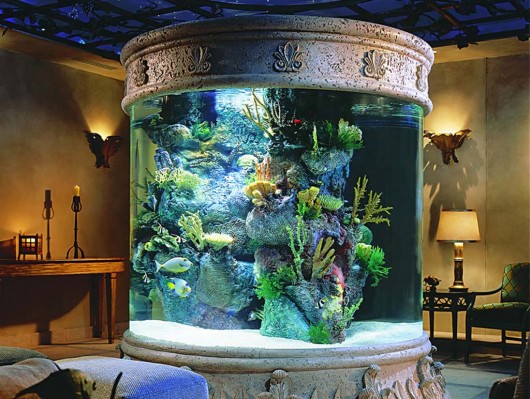cool aquariums big size design