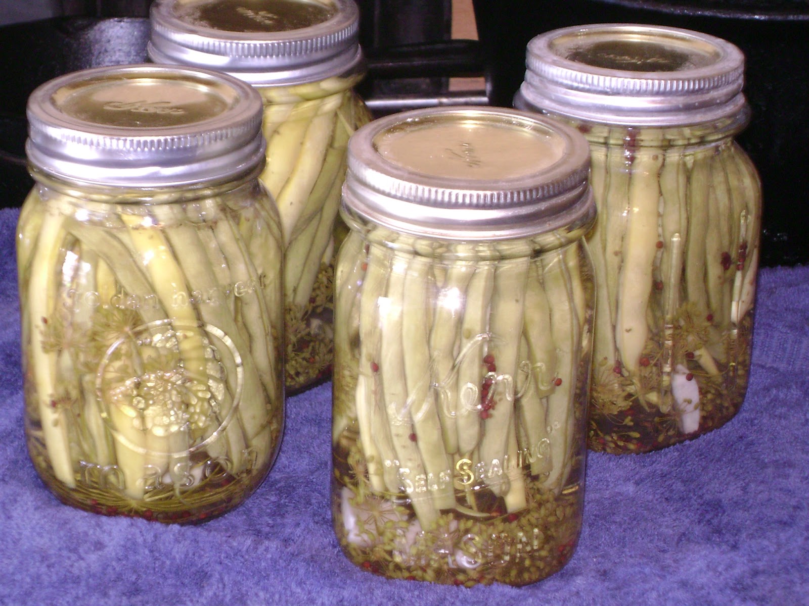 TSG Spicy Pickled Dilly Beans