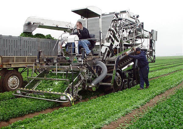 Agricultural Mechanization Consultancy