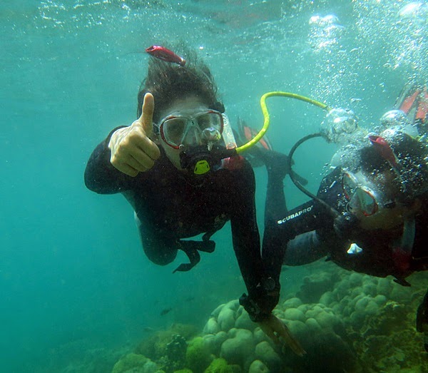 Hasil gambar untuk pulau angso pariamantoday snorkeling