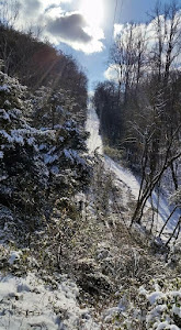 This is our hill!  It looks like a ski run.