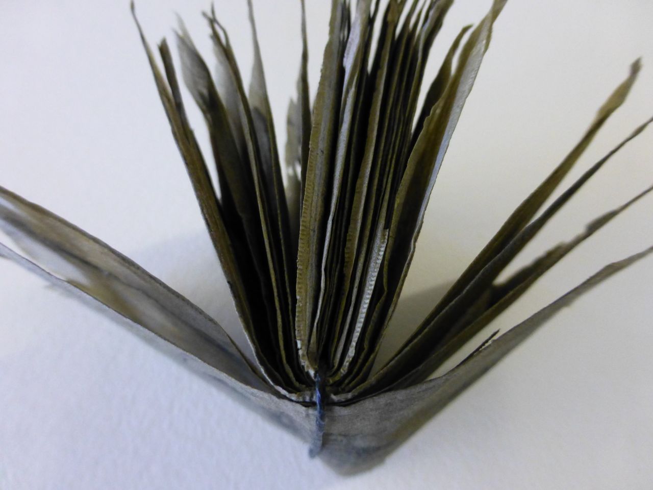 tracemarks tea bags..