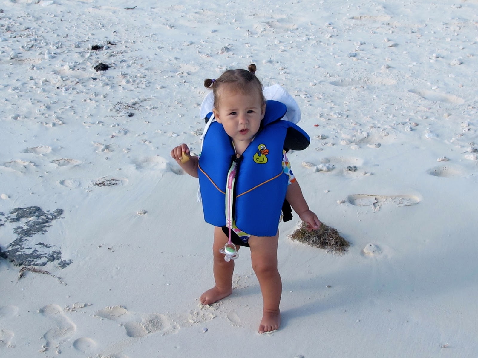 Windtraveler Bringing up Baby (...on a boat)