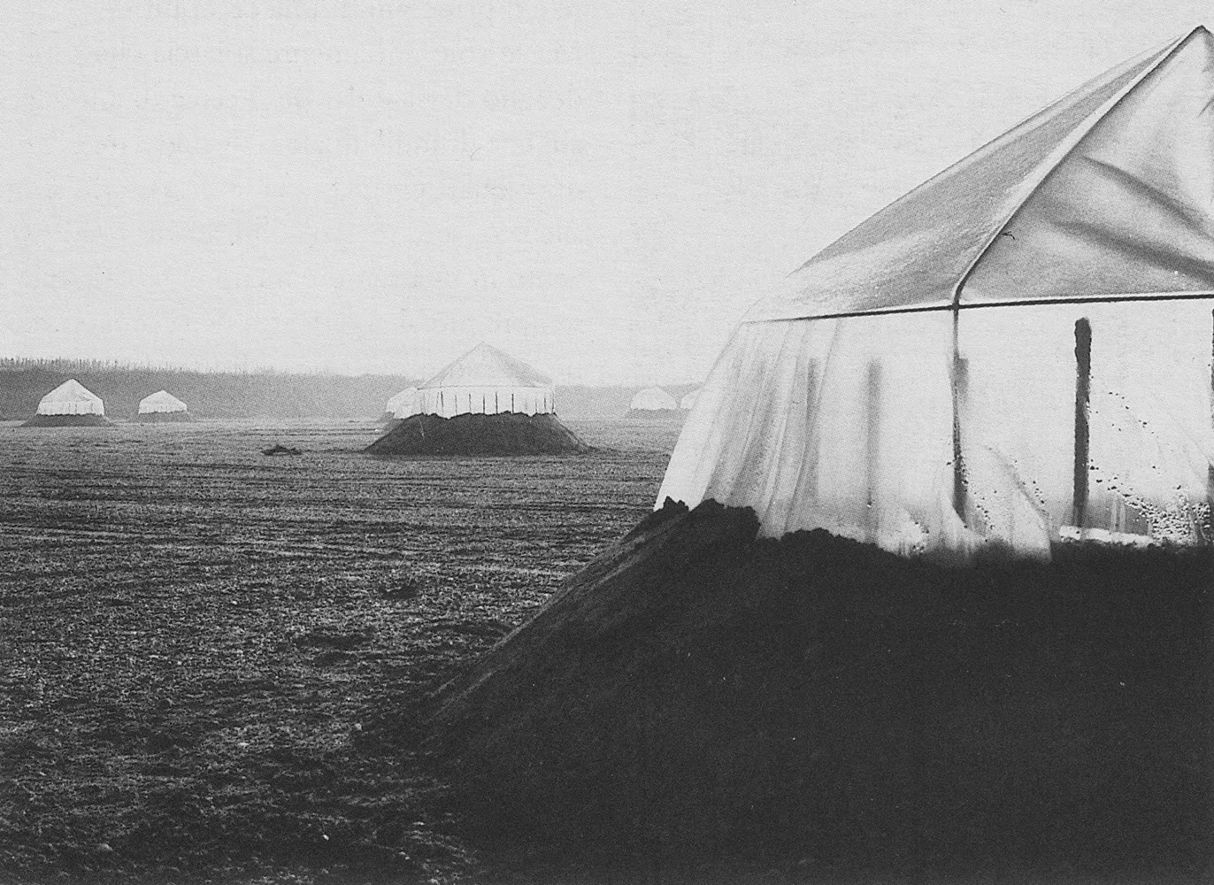 Paradise Backyard Marco Zanuso