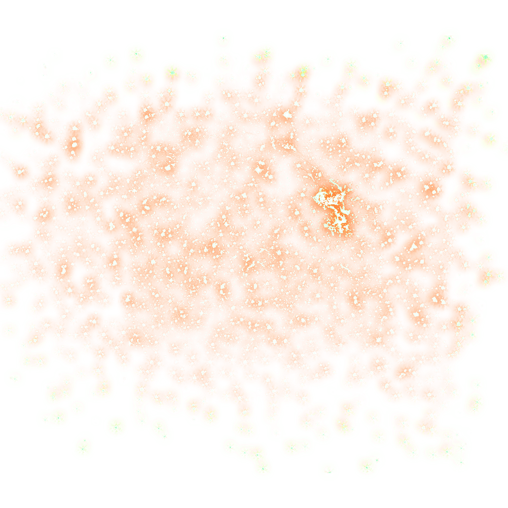 New Sparkle | Sonia|editor