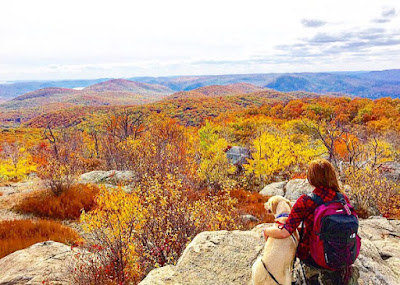 Fall Foliage 2015 at the firetower on Mount Beacon.