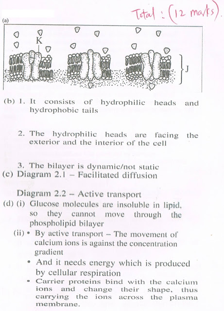 ap biology essay question and answer ap biology essay question and answer