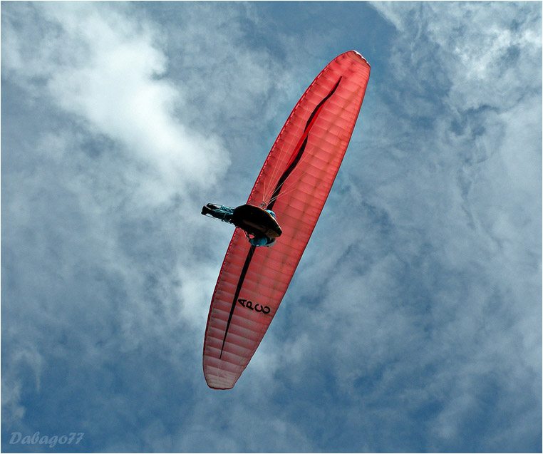 emphoka, photo of the day, David BG, Nikon Coolpix P80 emphoka, photo of the day, David BG, Nikon Coolpix P80