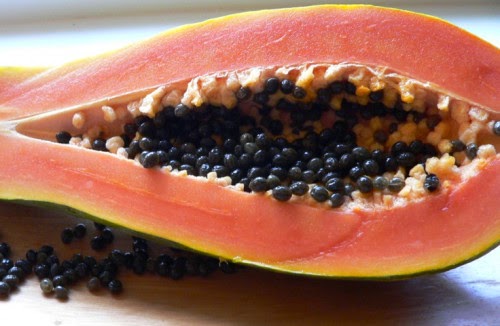 Papaya Fruit