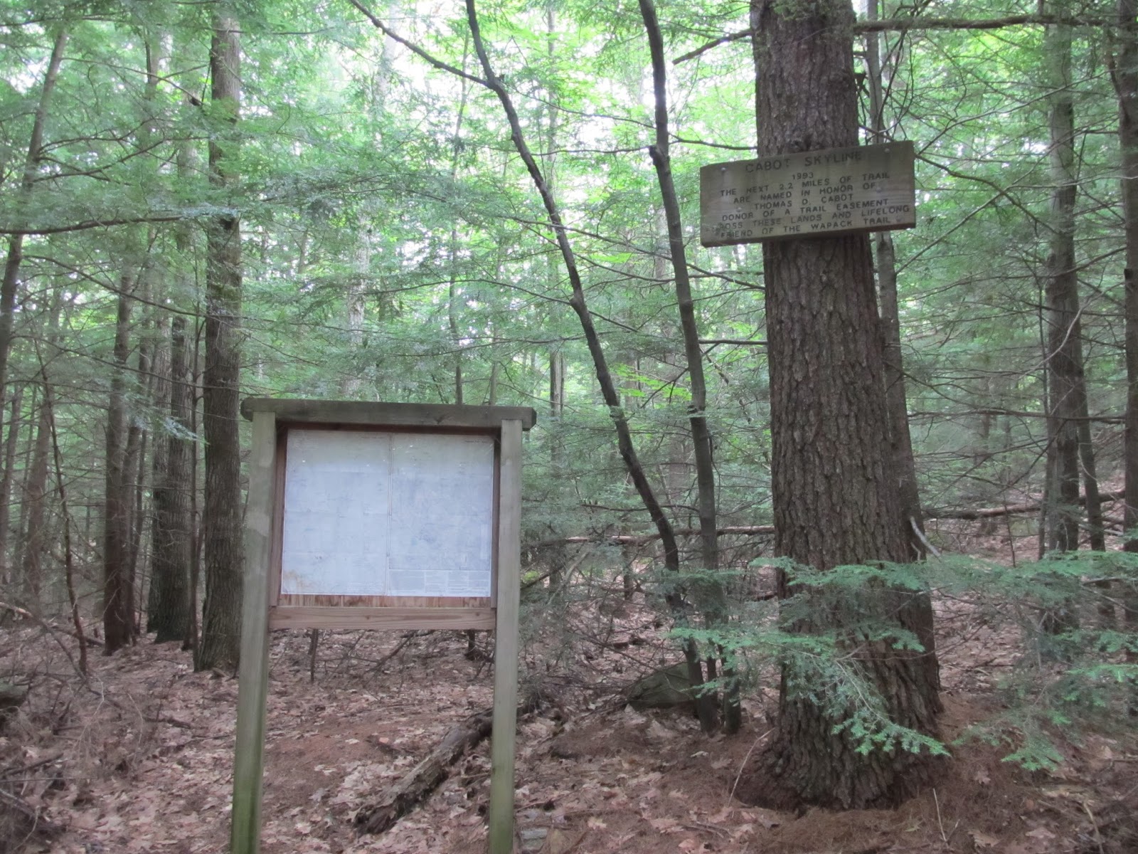 date commenced definition