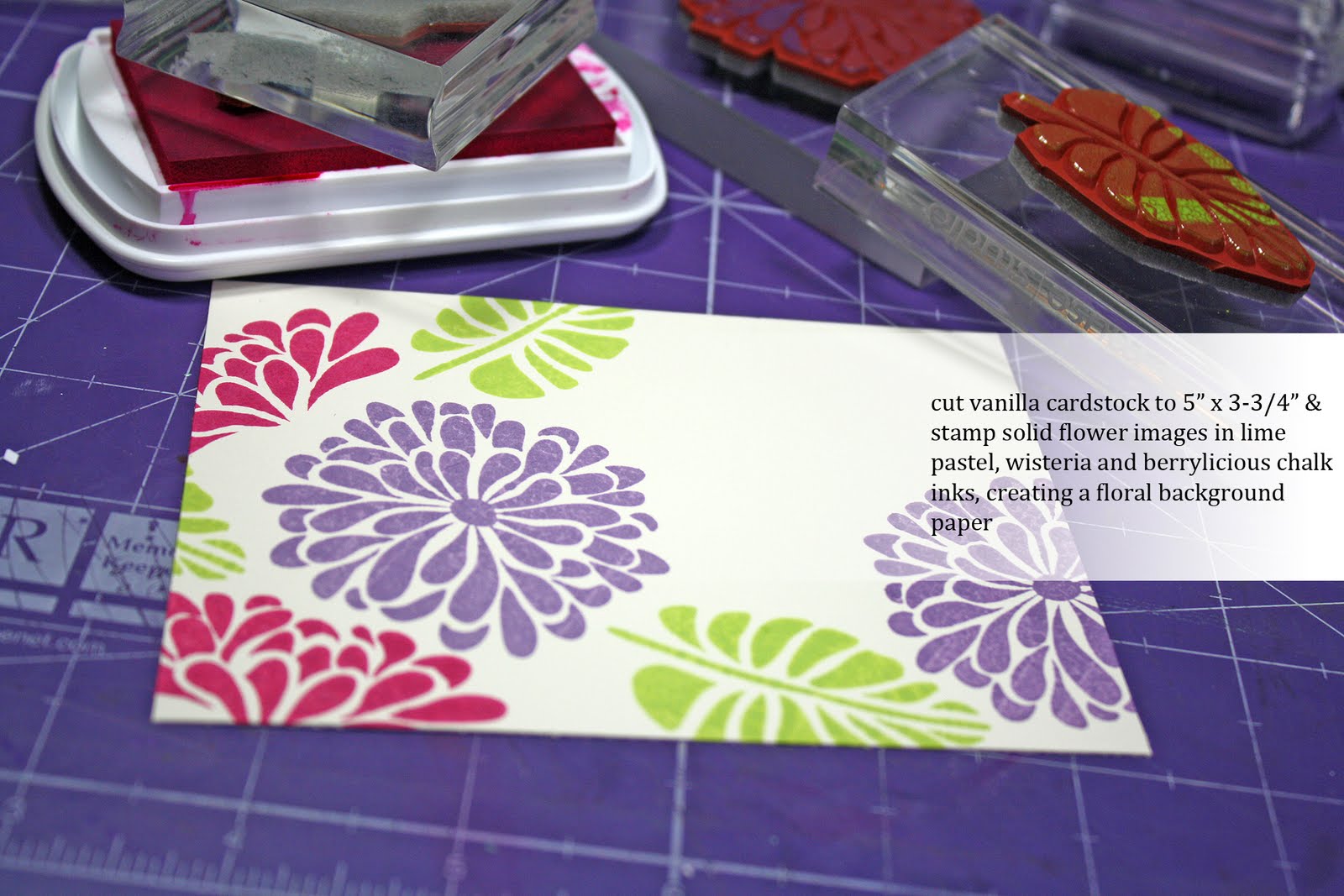 My Pink Mexico Picture Tutorial Colorbox Chalk Inks & Hero Arts Stamps