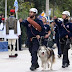 Ο σκύλος στην παρέλαση της Θεσσαλονίκης...