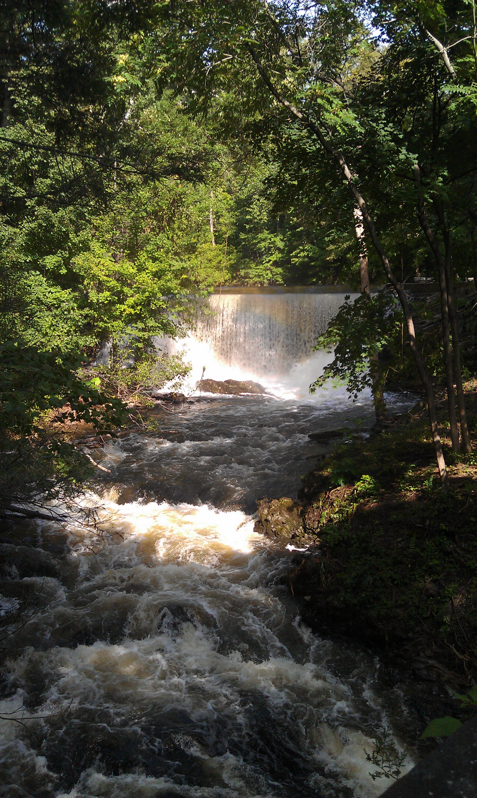 Lots To Consider Hyde Park Bike/Hike Trails