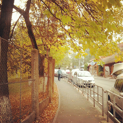 autumn sidewalk