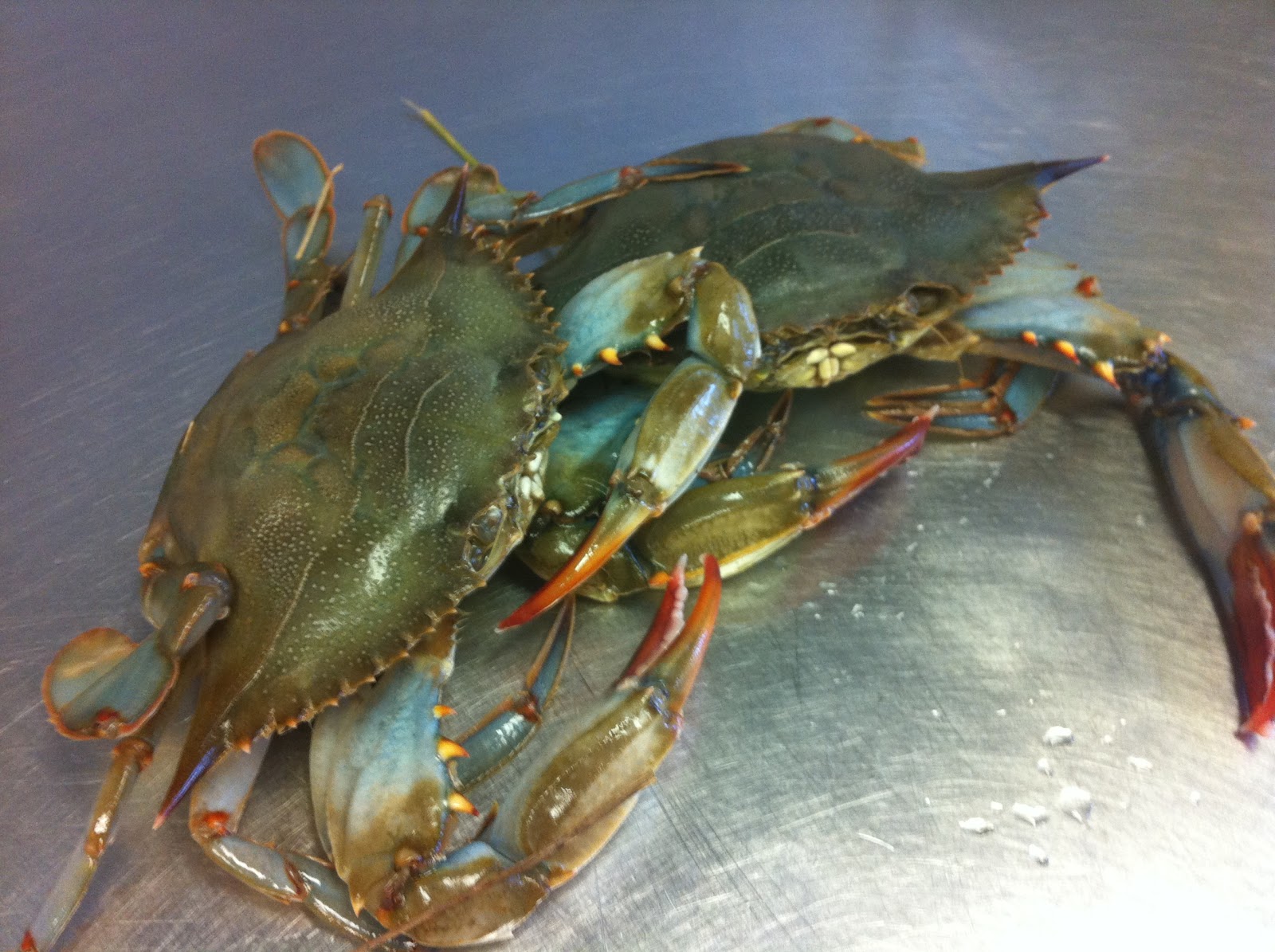 WestglowBlog Soft shell crabs are in the house!