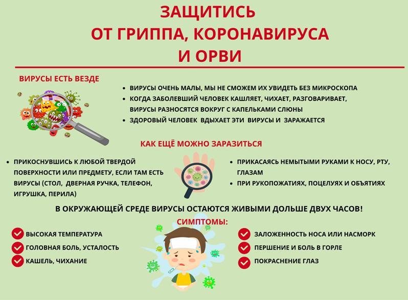 Защитись от гриппа, коронавируса и ОРВи