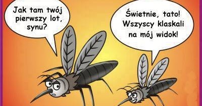 komar śmieszne, memy, rysunki, komiksy, humor ~ Śmieszne Obrazki i Gify