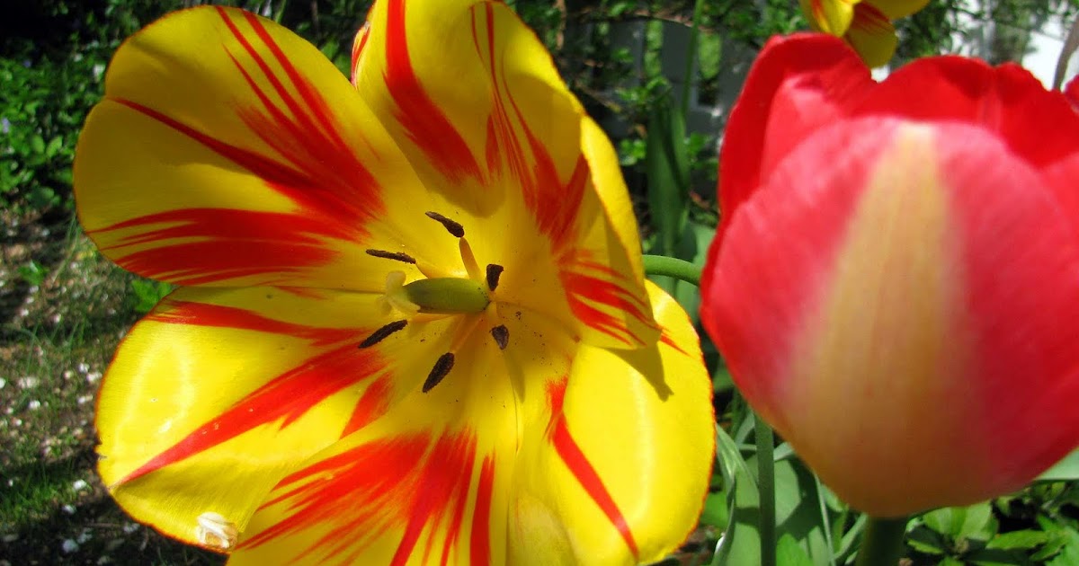 Long Island Daily Photo