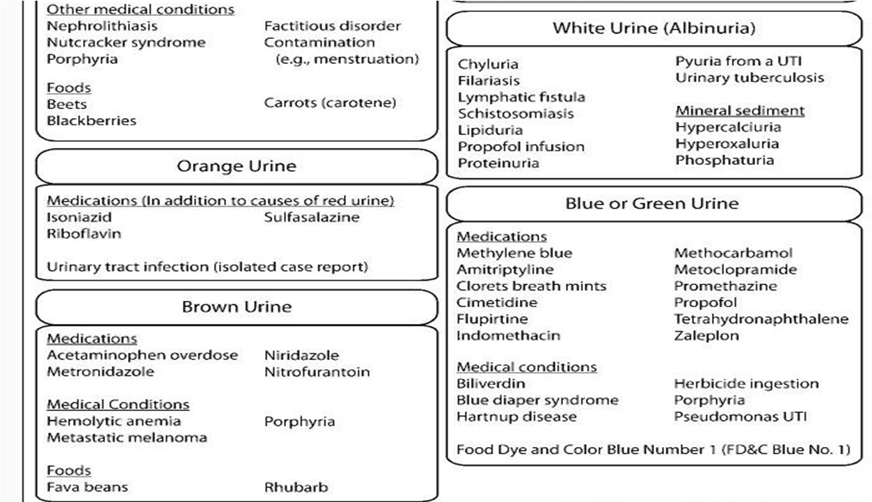 Ramayya Pramila Urology Hospital Urine colour Causative medications