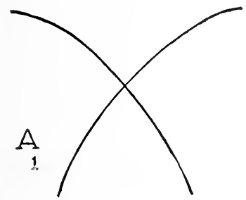 Come Disegnare Una Farfalla A Matita