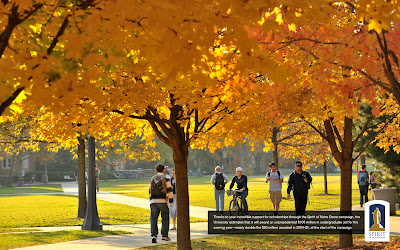 Questbridge essay prompts 2021 picture