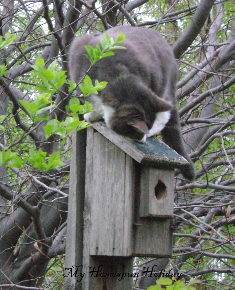 My Homespun Holiday Birdhouse/cat