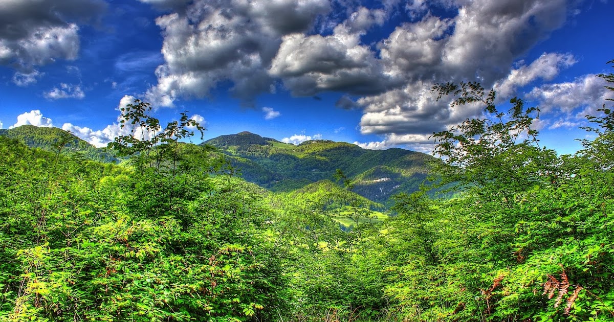 Wallpaper Hp Yg Indah | 18 wallpaper pemandangan indah nan menawan berita unik Wallpaper Hp Yg Indah | 18 wallpaper pemandangan indah nan menawan berita unik