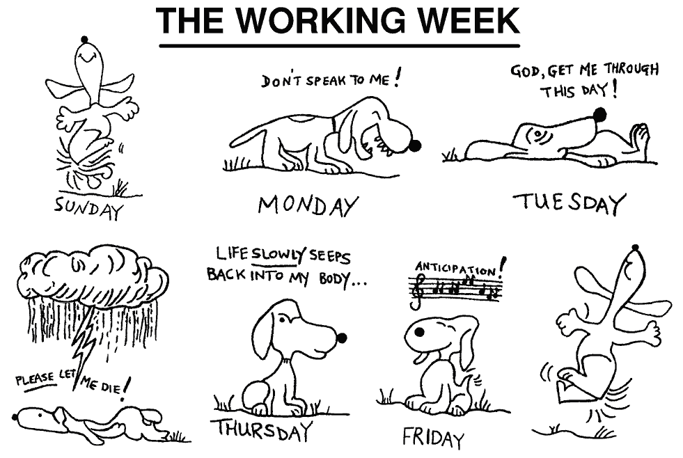 a day in the life of me working like a dog works like a dog