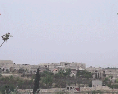الجمال في شمل افريقيا و الشرق الاوسط الجمال في شمل افريقيا و الشرق الاوسط