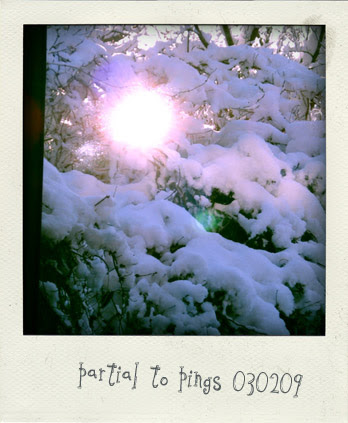 Poladroid Album