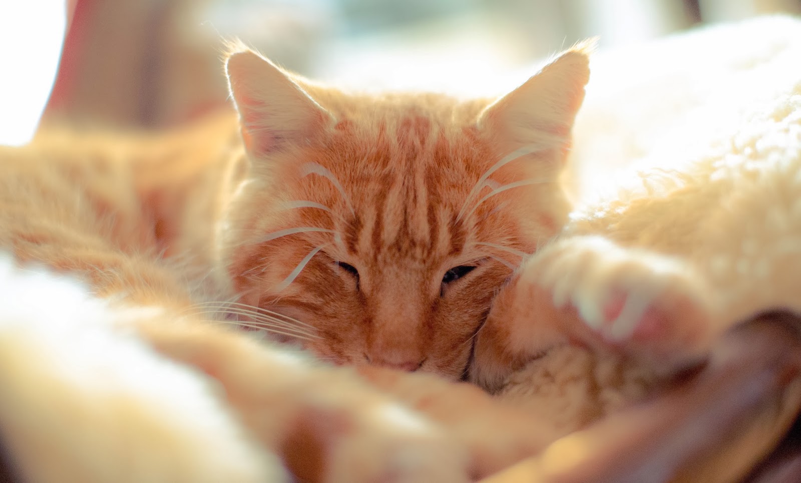 Fundstucke Dezember 2013