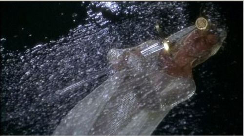 rencontre arthur guenievre