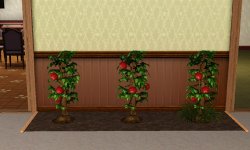 My Sims 3 Blog Indoor Gardening By Snake Legs