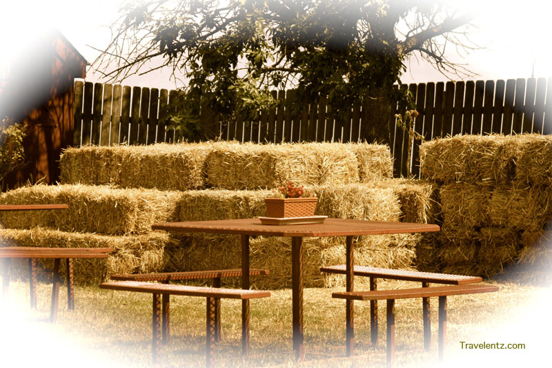 October 2011 Travelentz