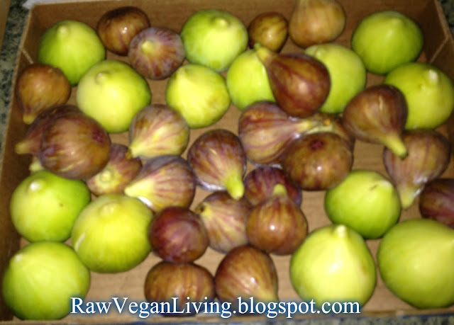 figs - mission and totato figs figs - mission and totato figs