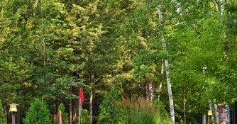 Bocce ball court in the backyard | Backyards Click