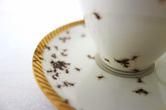 Platos de porcelana de época cubiertos en hordas de hormigas pintadas a mano