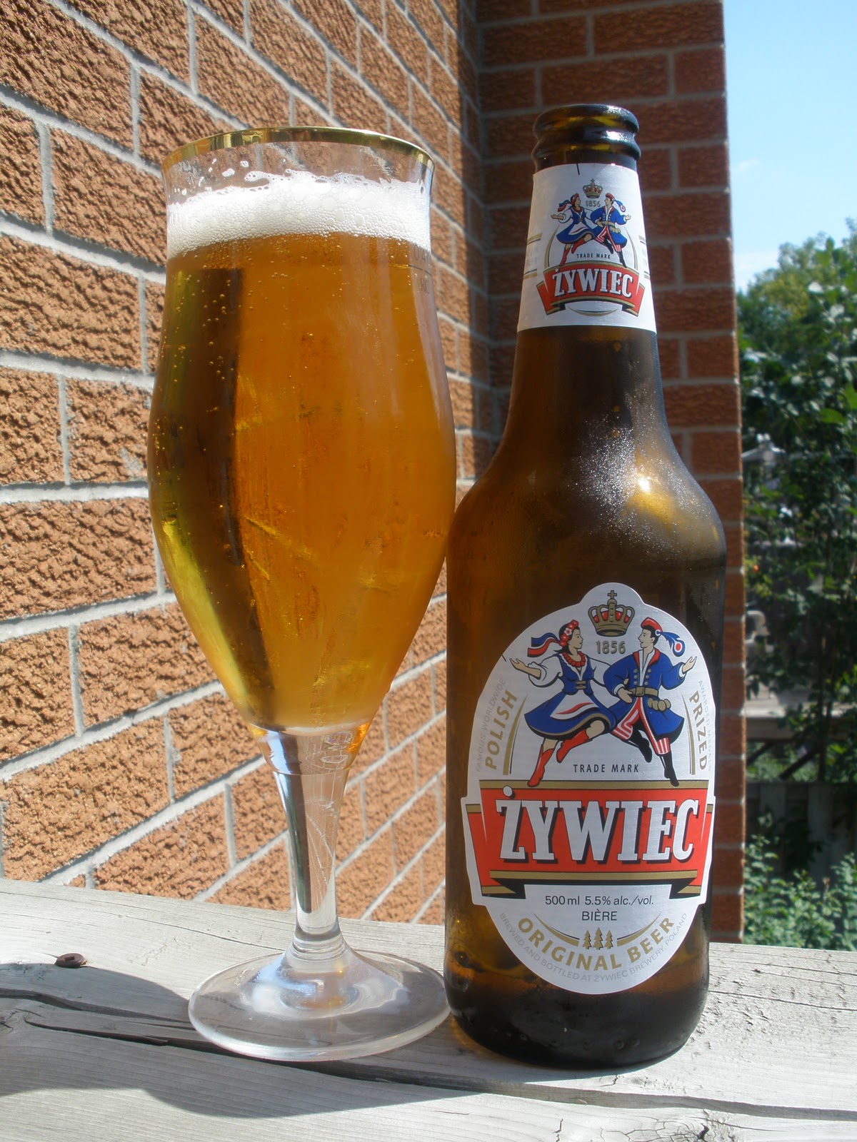 Matt's Beer Den Polishing Off Some Lagers from Poland!