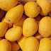 Lifting of Ban by EU on Import of Mango from India